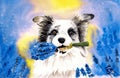 Watercolor illustration of a white border collie dog on a lavender field Royalty Free Stock Photo