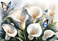 Watercolor illustration. White callas with butterflies on an abstract background. Wallpaper design with white calla lilies. Royalty Free Stock Photo