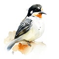 Watercolor illustration of a white-crested wagtail AI Generated