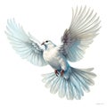 watercolor illustration white flying dove, decorative design element Royalty Free Stock Photo