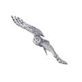 Watercolor illustration, white flying polar owl Royalty Free Stock Photo