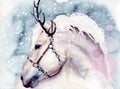 Watercolor illustration of a white horse with bells on the harness Royalty Free Stock Photo