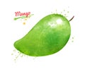 Watercolor illustration of green Mango