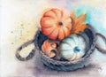 Watercolor illustration of a wicker basket with orange and gray pumpkins Royalty Free Stock Photo