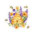 Watercolor illustration with a wild Beehive in Lavender, Chamomile and Sunflower flowers. Bees, wild flowers and grass