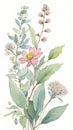 Watercolor illustration of wildflowers and eucalyptus branches Royalty Free Stock Photo