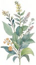 Watercolor illustration of wildflowers and eucalyptus branches Royalty Free Stock Photo