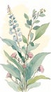 Watercolor illustration of wildflowers and eucalyptus branches Royalty Free Stock Photo