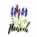 Watercolor illustration of wildflowers, painting lupines on a white and colored background with letterinf of march
