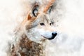 Wolf - watercolor illustration portrait