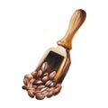 Watercolor illustration of wooden scoop for coffee with some coffee beans. Hand painting on a white isolated background Royalty Free Stock Photo