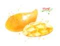 Watercolor illustration of yellow mango