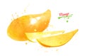 Watercolor illustration of yellow mango