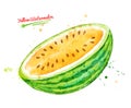 Watercolor illustration of yellow watermelon