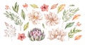 Watercolor illustrations. Autumn botanical collection artichoke, wild flowers, leaves, branches. Floral Design elements. Perfect