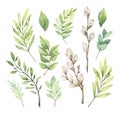 Watercolor illustrations with eucalyptus, green leaves and willow. Easter brunches. Spring greenery design elements. Perfect for