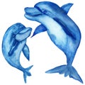 Watercolor illustrations, funny blue dolphins, mom and baby isolated on white background. Royalty Free Stock Photo