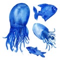 Watercolor illustrations, funny blue fish and jellyfish with tails isolated on white background. Royalty Free Stock Photo