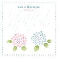 Watercolor illustrations of hydrangea and rain, image of summer and rainy season