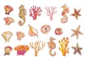 Watercolor illustrations of sea creatures in red, orange, coral colors. Warm toned hand-painted illustrations of seashells, seahor Royalty Free Stock Photo