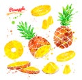 Watercolor illustrations set of pineapple Royalty Free Stock Photo