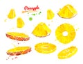 Watercolor illustrations set of sliced pineapple