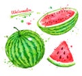 Watercolor illustrations set of watermelon