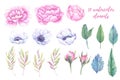 Watercolor illustrations. Spring leaves, peonies and anemones fl