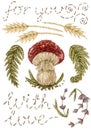 Watercolor illustrations with vintage embroidery: fern, fly agaric, wheat and lavender. Isolated. Needlework collection.