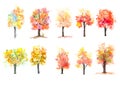 Watercolor illustrator of ten autumn trees on white background