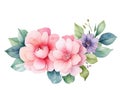 Watercolor ilustration with bouquet of flowers on ransparent background, AI Royalty Free Stock Photo