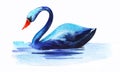 Watercolor image of beautiful swan swimming in pure blue pond. Wild graceful bird with long curved neck reflected on water surface Royalty Free Stock Photo