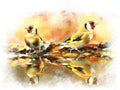 Watercolor Image of birds Gold finch