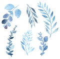 watercolor image of a branch in blue. Various plants are blue