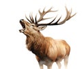 Watercolor Image of Bull Elk, isolated on white . AI generated Illustration