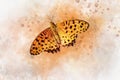 Watercolor image of a butterfly Polygonia c-album on a vintage background. Butterfly close-up. Handmade illustration. Animal world