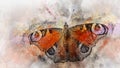 Watercolor image of a butterfly on a vintage background. Butterfly close-up. Handmade illustration. Animal world of insects Royalty Free Stock Photo