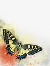 Watercolor image of a butterfly on a vintage background. Butterfly close-up. Handmade illustration. Animal world of insects Royalty Free Stock Photo