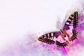 Watercolor image of a butterfly on a vintage background. Butterfly close-up. Handmade illustration. Animal world of insects Royalty Free Stock Photo