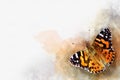 Watercolor image of a butterfly on a vintage background. Butterfly close-up. Handmade illustration. Animal world of insects