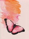 Watercolor image of a butterfly on a vintage background. Butterfly close-up. Handmade illustration. Animal world of insects Royalty Free Stock Photo