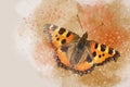 Watercolor image of a butterfly on a vintage background. Butterfly close-up. Handmade illustration. Animal world of insects