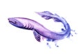 Watercolor image of cartoon frilled shark of purple color on white background. Hand drawn illustration of relict cartilaginous