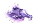 Watercolor image of cartoon purple cuttlefish on white backdrop. Hand drawn illustration of cute devilfish with thick tentacles Royalty Free Stock Photo