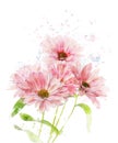 Watercolor Image Of Chrysanthemum