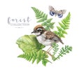 Watercolor image with forest plants and bird Royalty Free Stock Photo