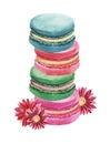 Watercolor image of four colorful macaroons standing on each other. Cute tower of almond biscuits decorated with daisies isolated Royalty Free Stock Photo
