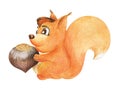 Watercolor image of friendly cartoon squirrel with smiling hazel eyes and big fluffy tail isolated on white background. Hand drawn Royalty Free Stock Photo