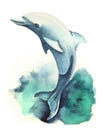 Watercolor image of graceful dolphin jumping out of sea wave. Hand-drawn illustration of cute and smart mammal on white background
