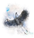 Watercolor Image Of Great Blue Heron